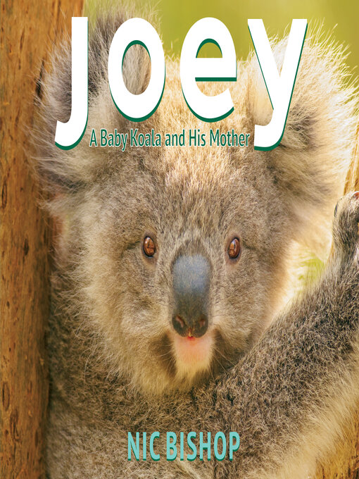 Cover image for Joey